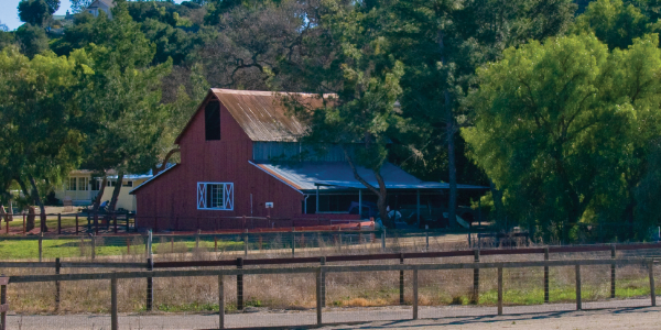 Separate and Joint Property